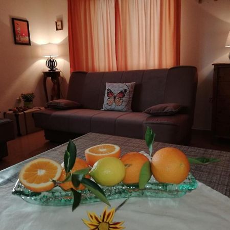 Apartment Marina سلاتين المظهر الخارجي الصورة